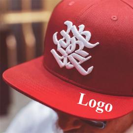  3D embroidery custom logo snapback cap